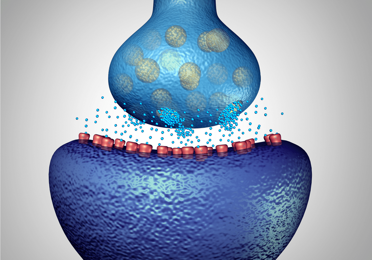 GABA Receptors: The Cornerstone of Anesthesia Pharmacology