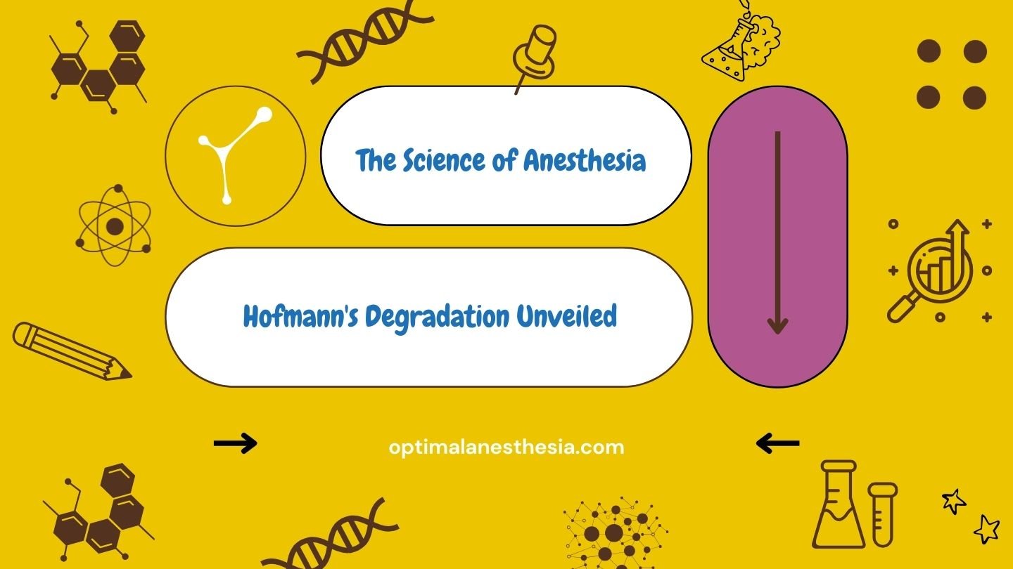 Hofmann’s Degradation in Anesthesia: Implications, Risks, and Clinical Considerations