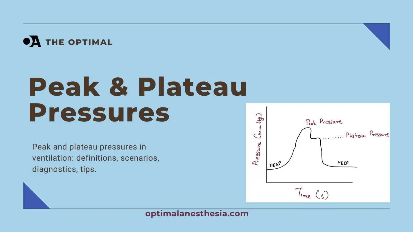 Peak Airway Pressure and Plateau Pressure on Ventilator: An Overview