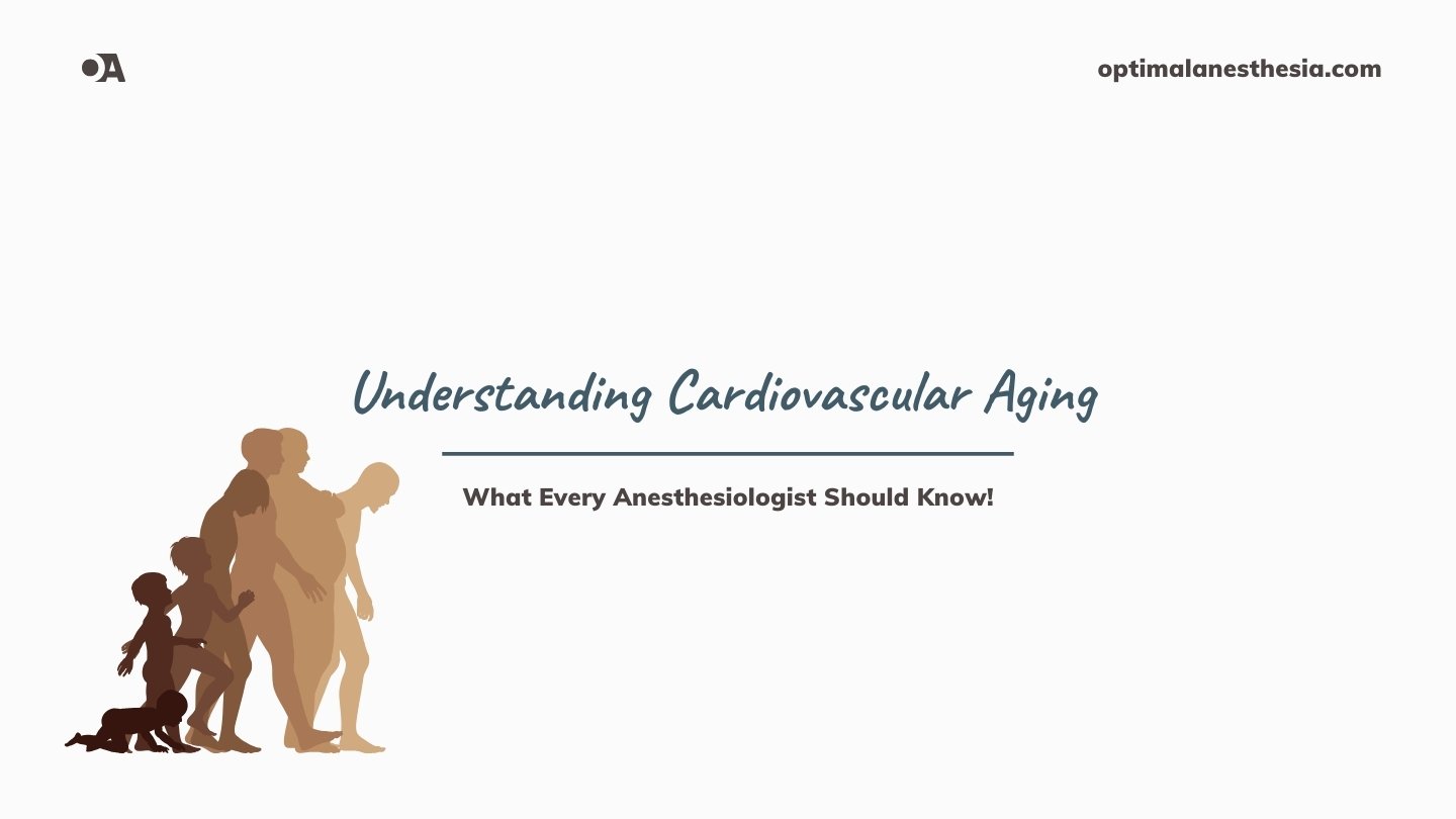 The Four Stages of Cardiovascular Ageing and Anesthesia Implications